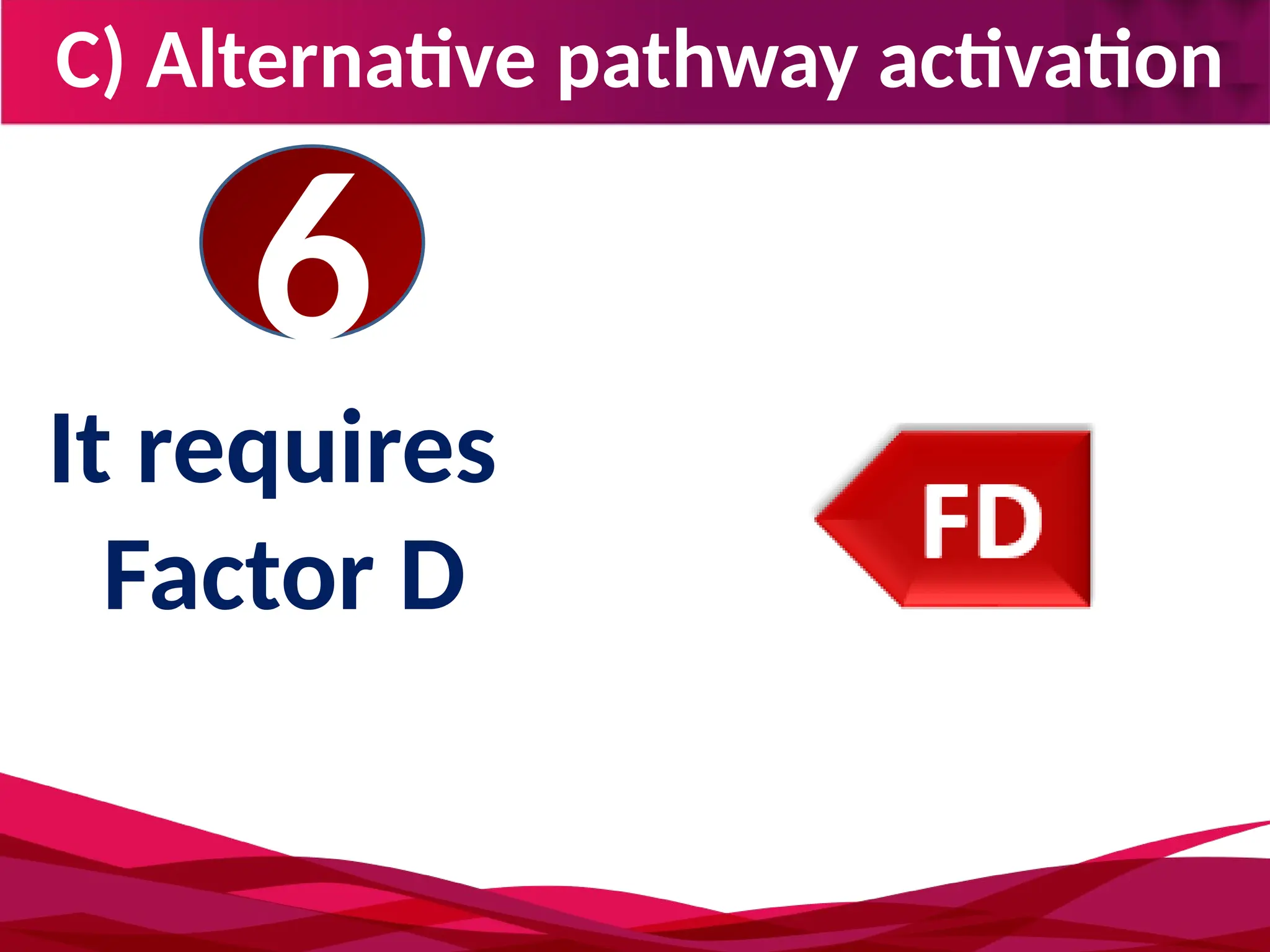 C) Alternative pathway activation
6
It requires
Factor D
 