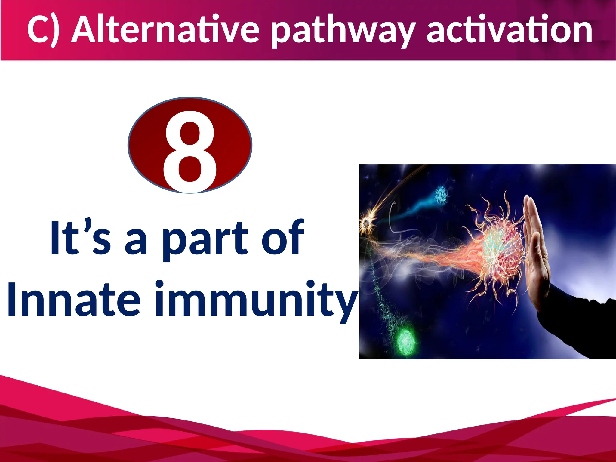 C) Alternative pathway activation
8
It’s a part of
Innate immunity
 