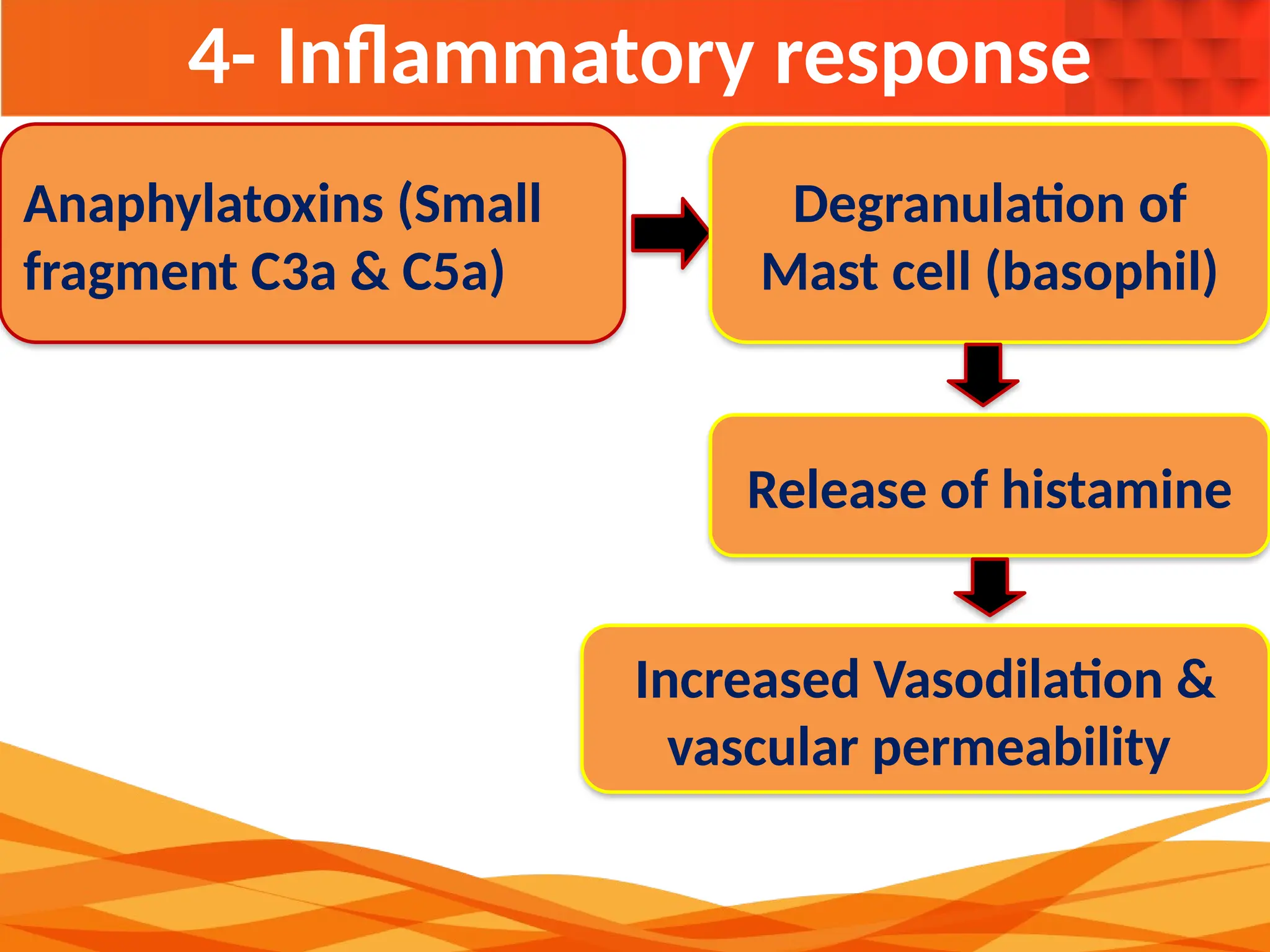 4- Inflammatory response
Anaphylatoxins (Small
fragment C3a & C5a)
Degranulation of
Mast cell (basophil)
Release of histamine
Increased Vasodilation &
vascular permeability
 