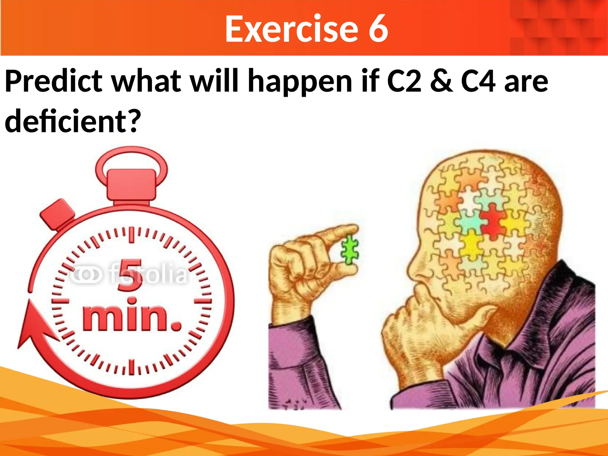 Exercise 6
Predict what will happen if C2 & C4 are
deficient?
 