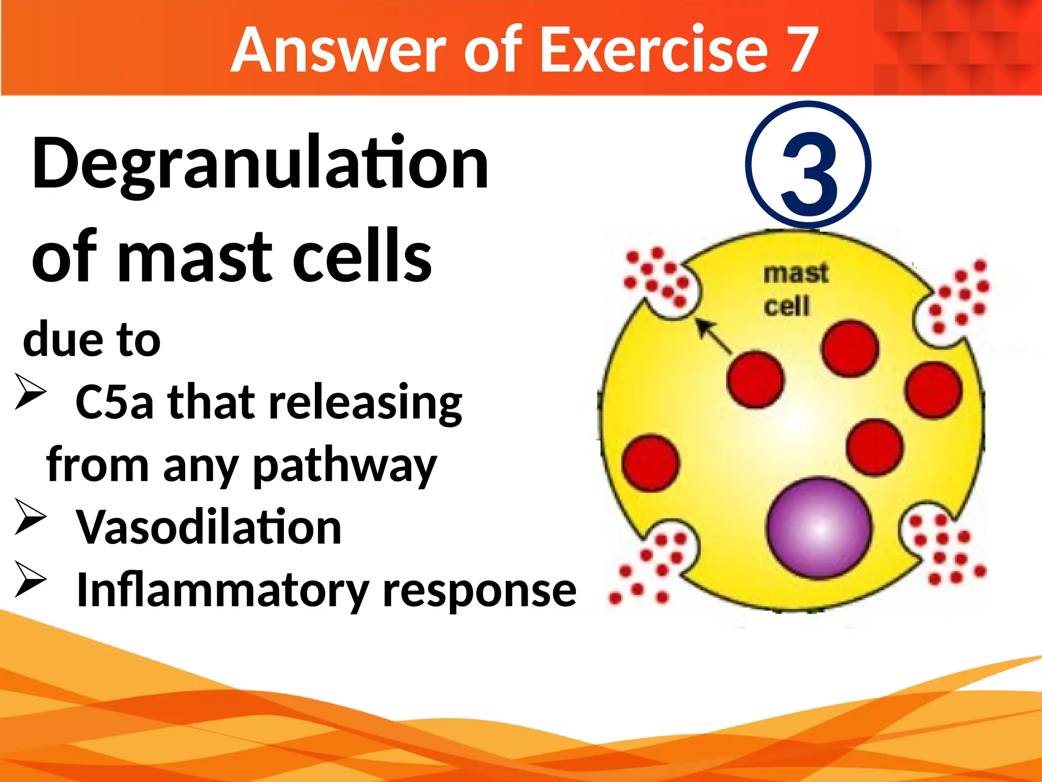 Answer of Exercise 7
Degranulation
of mast cells
due to
 C5a that releasing
from any pathway
 Vasodilation
 Inflammatory response
3
 