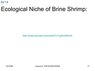 Ecological Niche of Brine Shrimp: http:// www.youtube.com/watch?v =cjylhrA6AmA bio 1.0 