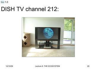 DISH TV channel 212: bio 1.0 