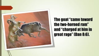 The goat “came toward
the two-horned ram”
and “charged at him in
great rage” (Dan 8:6).
 