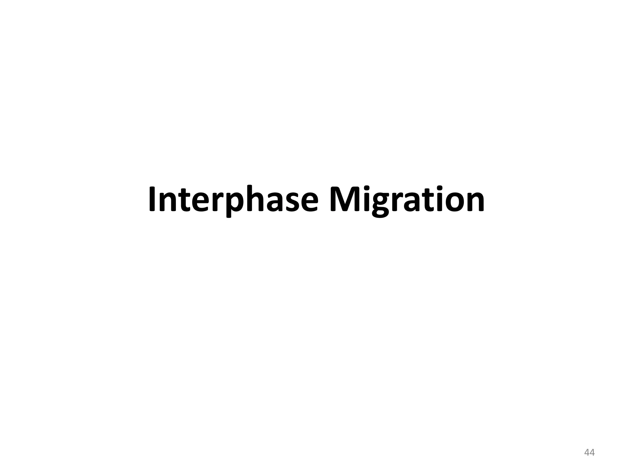 Interphase Migration
44
 