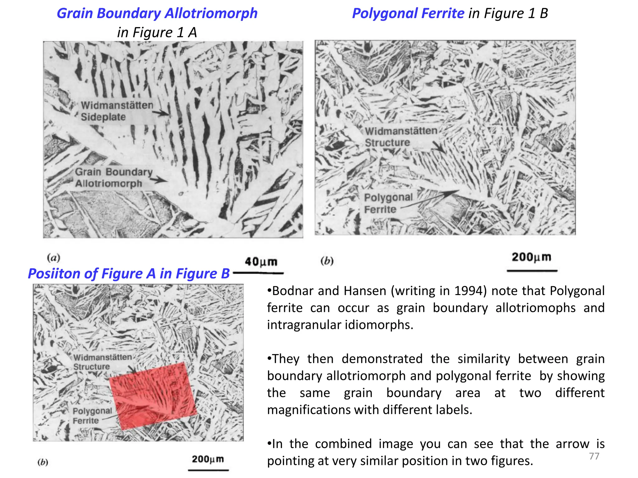 77
Grain Boundary Allotriomorph
in Figure 1 A
Polygonal Ferrite in Figure 1 B
Posiiton of Figure A in Figure B
•Bodnar and Hansen (writing in 1994) note that Polygonal
ferrite can occur as grain boundary allotriomophs and
intragranular idiomorphs.
•They then demonstrated the similarity between grain
boundary allotriomorph and polygonal ferrite by showing
the same grain boundary area at two different
magnifications with different labels.
•In the combined image you can see that the arrow is
pointing at very similar position in two figures.
 