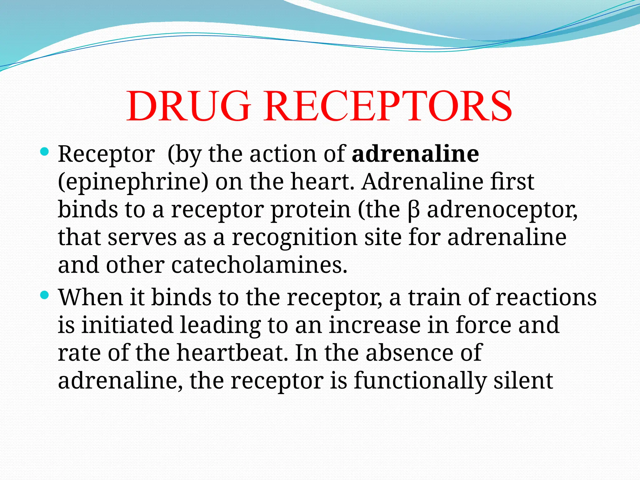 DRUG RECEPTORS
 Receptor (by the action of adrenaline
(epinephrine) on the heart. Adrenaline first
binds to a receptor protein (the β adrenoceptor,
that serves as a recognition site for adrenaline
and other catecholamines.
 When it binds to the receptor, a train of reactions
is initiated leading to an increase in force and
rate of the heartbeat. In the absence of
adrenaline, the receptor is functionally silent
 