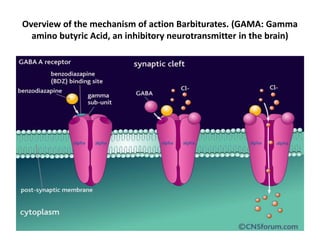 Overview of the mechanism of action Barbiturates. (GAMA: Gamma
amino butyric Acid, an inhibitory neurotransmitter in the brain)
 