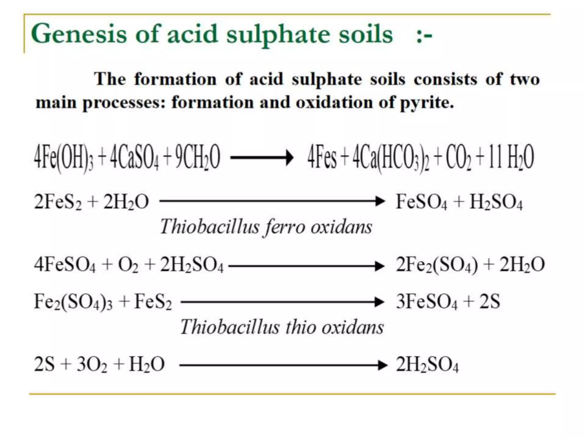 Acid Sulphate Soils
