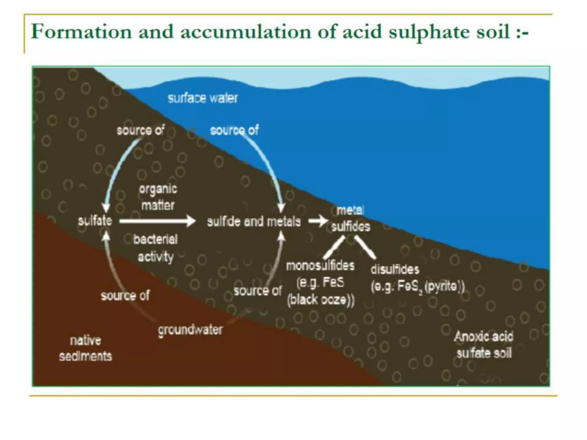 Acid Sulphate Soils