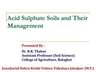Acid Sulphate Soils