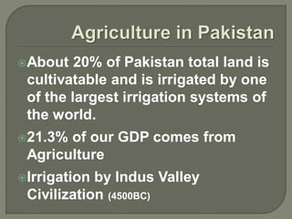 Role of Agriculture in Economic Development of Pakistan | PDF