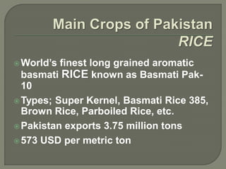 Types Rice In Pak Role of Agriculture in Economic Development of Pakistan | PDF