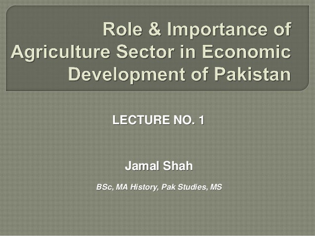 role of agriculture in economic development Naijang news ★ find out ☀ the role of agriculture in nigeria's economic development ☀ food production, distribution, exchange, consumption are important parts of every country's economic system. role of agriculture in economic development Naijang news ★ find out ☀ the role of agriculture in nigeria's economic development ☀ food production, distribution, exchange, consumption are important parts of every country's economic system.