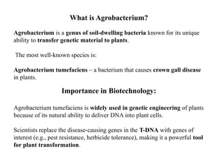 Lecture AgroBacterium tumefaciansL3.pptx