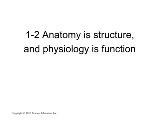 Lecture anatomical organization | PDF