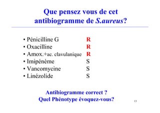 Que pensez vous de cet
antibiogramme de S.aureus?
• Pénicilline G R
• Oxacilline R
• Amox.+ac. clavulanique R
• Imipénème S
• Vancomycine S
• Linézolide S
13
Antibiogramme correct ?
Quel Phénotype évoquez-vous?
 