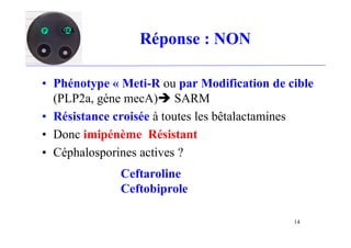 Réponse : NON
• Phénotype « Meti-R ou par Modification de cible
(PLP2a, gène mecA) SARM
• Résistance croisée à toutes les bêtalactamines
• Donc imipénème Résistant
• Céphalosporines actives ?
Ceftaroline
Ceftobiprole
P OXA
14
 