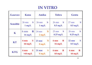 S.aureus Kana Amika Tobra Genta
Sensible
26 mm S
1 mg/L
26 mm S
1 mg/L
26 mm S
0.5 mg/L
27 mm S
0.5 mg/L
K
6 mm R
16 mg/L
24 mm S
2 mg/L
25 mm S
0.25 mg/L
26 mm S
0.25 mg/L
KT
6 mm R
64 mg/L
23 mm S
8 mg/L
6 mm R
16 mg/L
22 mm S
0.5 mg/L
KTG
6 mm R
>64 mg/L
21 mm S
8 mg/L
6 mm R
64 mg/L
6 mm R
64 mg/L
IN VITRO
18
 