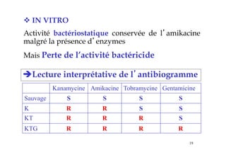  IN VITRO
Activité bactériostatique conservée de l’amikacine
malgré la présence d’enzymes
Mais Perte de l’activité bactéricide
Lecture interprétative de l’antibiogramme
Kanamycine Amikacine Tobramycine Gentamicine
Sauvage S S S S
K R R S S
KT R R R S
KTG R R R R
19
 