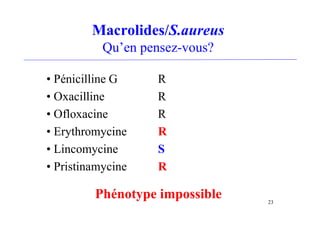 Macrolides/S.aureus
Qu’en pensez-vous?
• Pénicilline G R
• Oxacilline R
• Ofloxacine R
• Erythromycine R
• Lincomycine S
• Pristinamycine R
23
Phénotype impossible
 