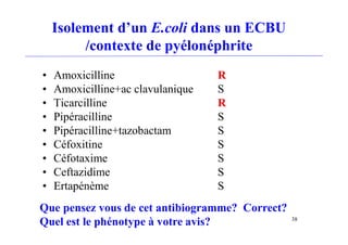 Isolement d’un E.coli dans un ECBU
/contexte de pyélonéphrite
• Amoxicilline R
• Amoxicilline+ac clavulanique S
• Ticarcilline R
• Pipéracilline S
• Pipéracilline+tazobactam S
• Céfoxitine S
• Céfotaxime S
• Ceftazidime S
• Ertapénème S
38
Que pensez vous de cet antibiogramme? Correct?
Quel est le phénotype à votre avis?
 