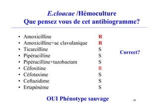 E.cloacae /Hémoculture
Que pensez vous de cet antibiogramme?
• Amoxicilline R
• Amoxicilline+ac clavulanique R
• Ticarcilline S
• Pipéracilline S
• Pipéracilline+tazobactam S
• Céfoxitine R
• Céfotaxime S
• Ceftazidime S
• Ertapénème S
Correct?
48
OUI Phénotype sauvage
 