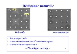 Résistance naturelle
Achromobacter
Klebsielle
Amox
Ticar
• Intrinsèque, innée
• Affecte toutes les souches d’une même espèce
• Chromosomique et constante
« Phénotype sauvage » 5
 