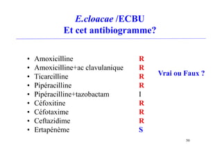 E.cloacae /ECBU
Et cet antibiogramme?
• Amoxicilline R
• Amoxicilline+ac clavulanique R
• Ticarcilline R
• Pipéracilline R
• Pipéracilline+tazobactam I
• Céfoxitine R
• Céfotaxime R
• Ceftazidime R
• Ertapénème S
Vrai ou Faux ?
50
 