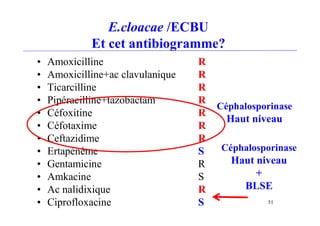 E.cloacae /ECBU
Et cet antibiogramme?
• Amoxicilline R
• Amoxicilline+ac clavulanique R
• Ticarcilline R
• Pipéracilline+tazobactam R
• Céfoxitine R
• Céfotaxime R
• Ceftazidime R
• Ertapénème S
• Gentamicine R
• Amkacine S
• Ac nalidixique R
• Ciprofloxacine S
Céphalosporinase
Haut niveau
51
Céphalosporinase
Haut niveau
+
BLSE
 