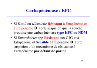 Carbapénémase : EPC
• Si E.coli ou Klebsielle Résistant à Ertapénème et
à Imipénème  Forte suspicion que la souche
produise une carbapénémase type KPC ou NDM
• Si Enterobacter spp Résistant aux C3G et à
Ertapénème et Sensible à Imipénème  Forte
suspicion d’un mécanisme de résistance à
l’ertapénème par défaut de porine
55
 