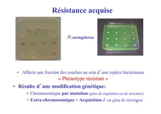 Résistance acquise
P. aeruginosa
• Affecte une fraction des souches au sein d’une espèce bactérienne
« Phénotype résistant »
• Résulte d’une modification génétique:
• Chromosomique par mutation (gène de régulation ou de structure)
• Extra-chromosomique = Acquisition d’un gène de résistance
6
 