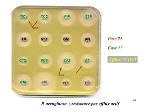 TIC TCC PIP TZP
CTX FEP CAZ AT
IPM
TM AN
GM
NET
CIP PEF CS
P. aeruginosa : résistance par efflux actif
Pase ??
non
Case ??
Efflux ?? OUI
64
non
 