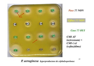 TIC TCC PIP TZP
CTX FEP CAZ AT
IPM
TM AN
GM
NET
CIP PEF CS
P. aeruginosa hyperproducteur de céphalosporinase
Pase ?? NON
non
Case ?? OUI
Efflux ?? NON
CMI AT
(aztreonam) <
CMI CAZ
(ceftazidime)
65
 