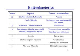 Entérobactéries
Groupe Espèces Enzyme chromosomique
0 Proteus mirabilis,Salmonella Aucune
1 E.coli, Shigella Céphalosporinase non inductible
bas niveau
2 Klebsielle, Citrobacter koseri Pénicillinase
3 Enterobacter, Citrobacter freundii,
Serratia, Morganella, Hafnia
Céphalosporinase inductible
Résistant aux inhibiteurs
4 Yersinia Pase et Case
5 Proteus vulgaris, P.penneri Céfuroximase
Sensible aux inhibiteurs
6 Kluyvera, Rhanella, BLSE chromosomique
70
 