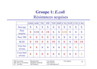 Groupe 1: E.coli
Résistances acquises
AMX AMC TIC PIP TZP IMP C1G FOX C3G C4G
Sauvage S S S S S S S S S S
Pase
acquise
R S/I/R R I/R S S S/I/R S S S
Pase TRI R R R R R S S S S S
BLSE R I/R R R I/R S R S I/R I/R
Case bas
niveau
R R S S S S R S S S
Case haut
niveau
R R R R R S R R R S
AMX amoxicilline PIP pipéracilline C1G céfalotine C4G céfépime
AMC amox+ac clavulanique TZP pipéra+tazobactam FOX céfoxitine
TIC ticarcilline IMP imipénem C3G céphalosporine III
72
 