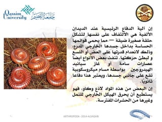 Lecture arthropoda 3 