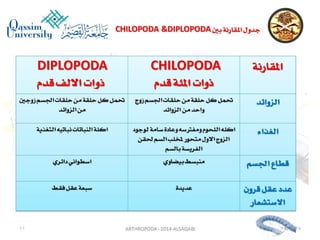 Lecture arthropoda 3 