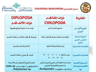 Lecture arthropoda 3 