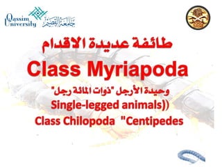 Lecture arthropoda 3 