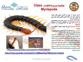 Lecture arthropoda 3 