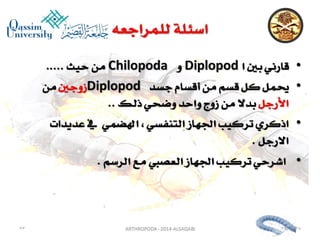 Lecture arthropoda 3 