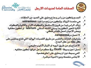 Lecture arthropoda 3 