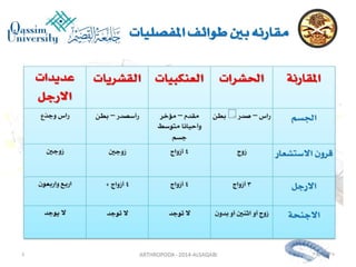 Lecture arthropoda 3 