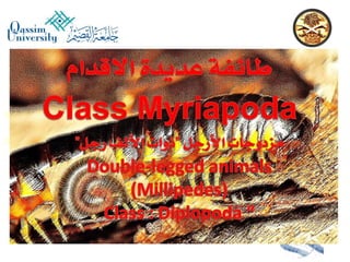 Lecture arthropoda 3 