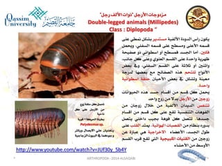 Lecture arthropoda 3 