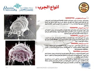 Lecture arthropoda 6 