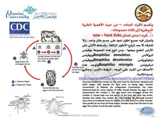 Lecture arthropoda 6 