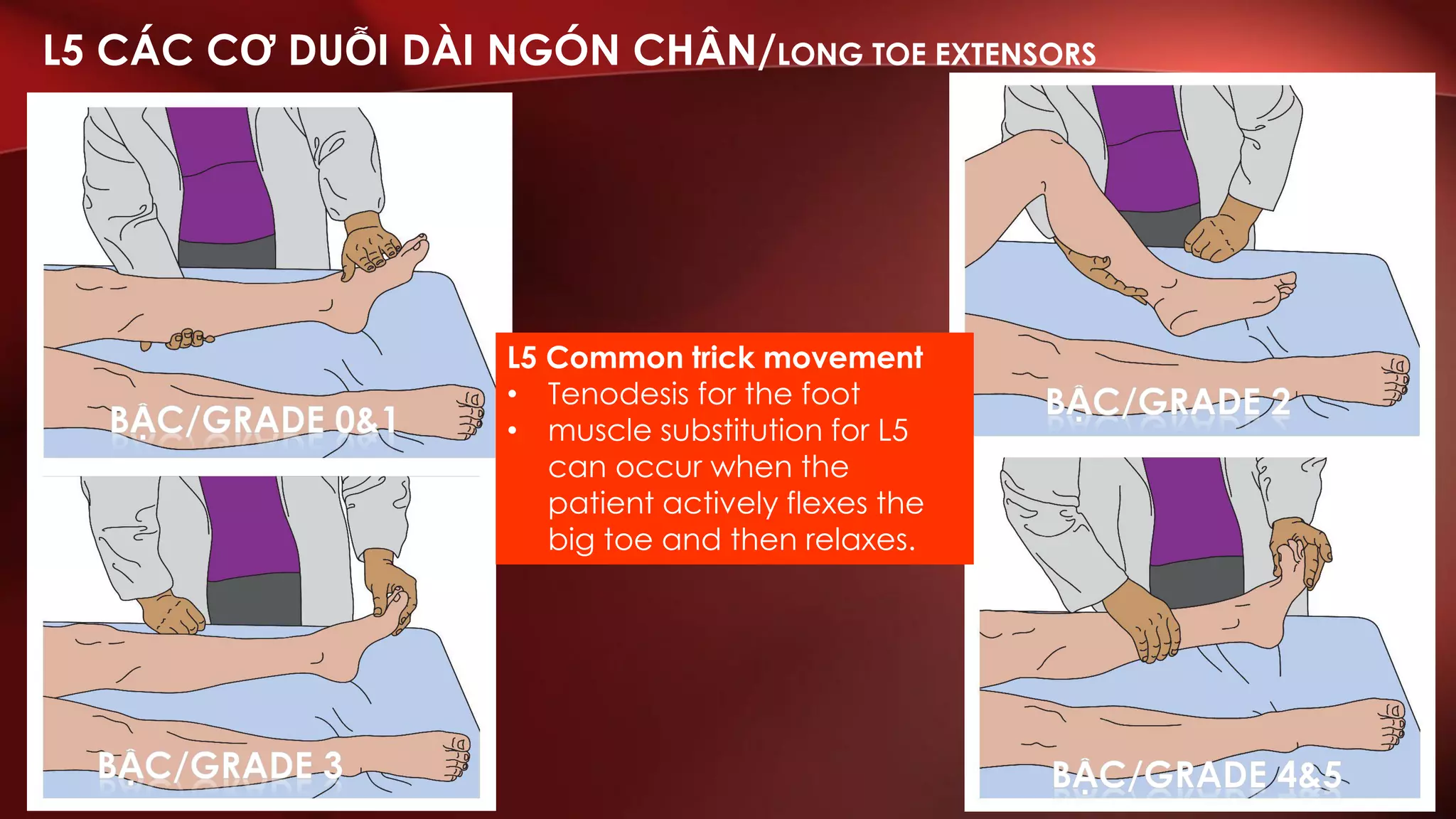 ASIA assessment English-Vietnamese | PDF
