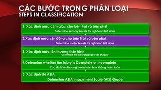ASIA assessment English-Vietnamese | PDF